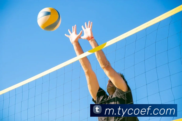 多媒体互动体验